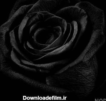 انا لله و انا الیه راجعون